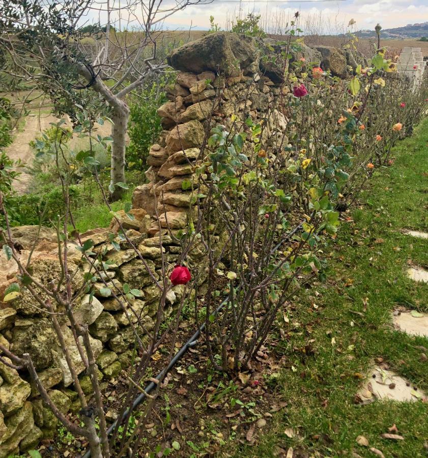 Villino Odaldo Mottola Buitenkant foto