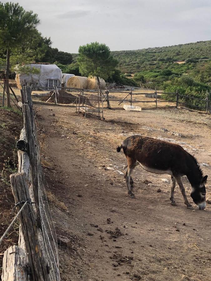 Villino Odaldo Mottola Buitenkant foto